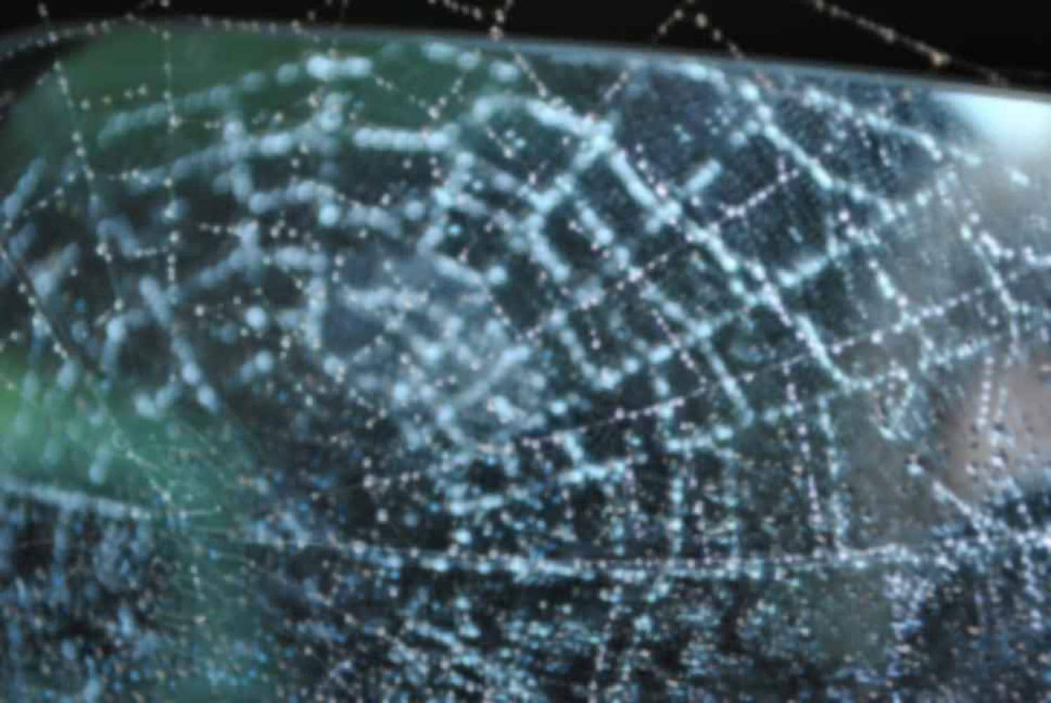 Spider's Web with Raindrops by Pexels https://www.tedt.org/img/web.jpg
